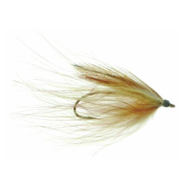 Platte River Spider|4