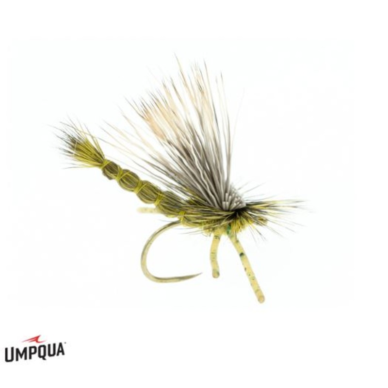 DJL Drake – Green|10|12