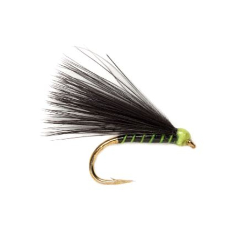 Fl. Green Ribbed Cormorant|10