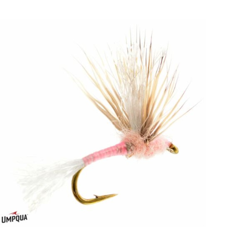 Improved Sparkle Dun Pink Lady