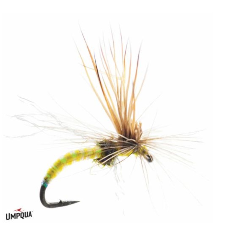 Mercer’s Missing Link – Yellow