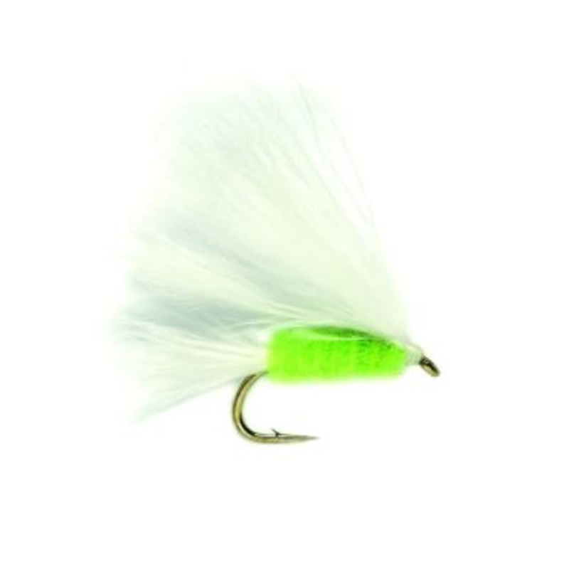 Mini Cat’s Whisker|12