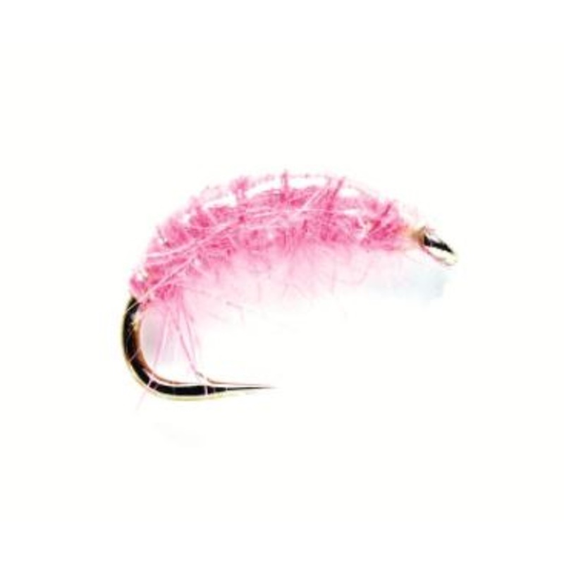 Pink Shrimp|12|14