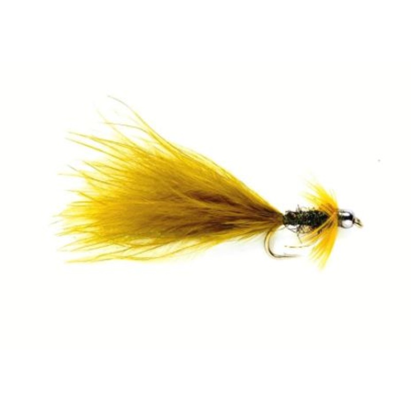 Terry’s Taddy Damsel|10|12