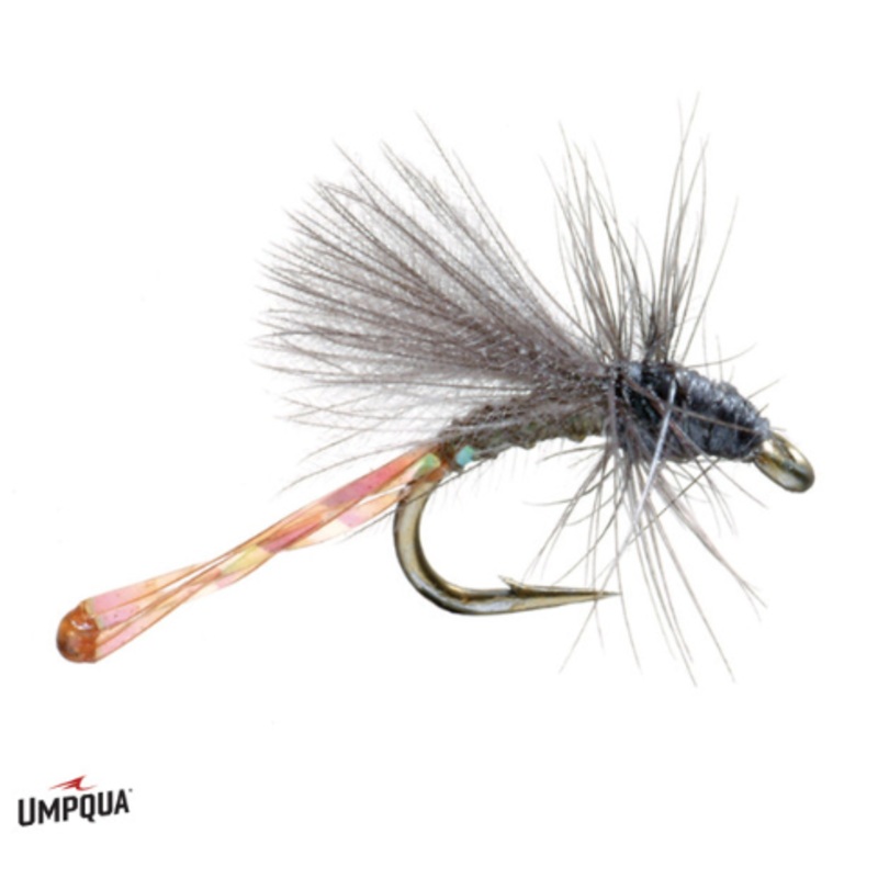 Morgan’s Midge – Dark|20|22|24