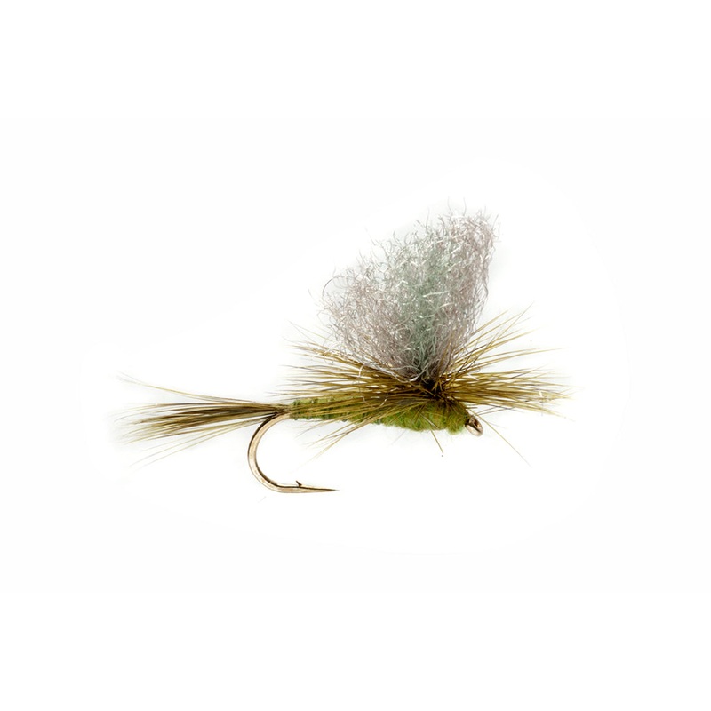 Burkus Green Drake Dun|10|12