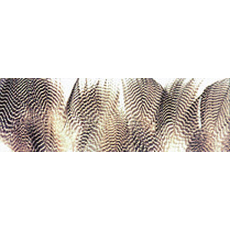 Gadwall Barred Flank|Fl. Chartreuse|Fl. Orange|Fl. Pink|Natural|Olive|Peacock Blue|Purple|Red|Wood Duck|Yellow