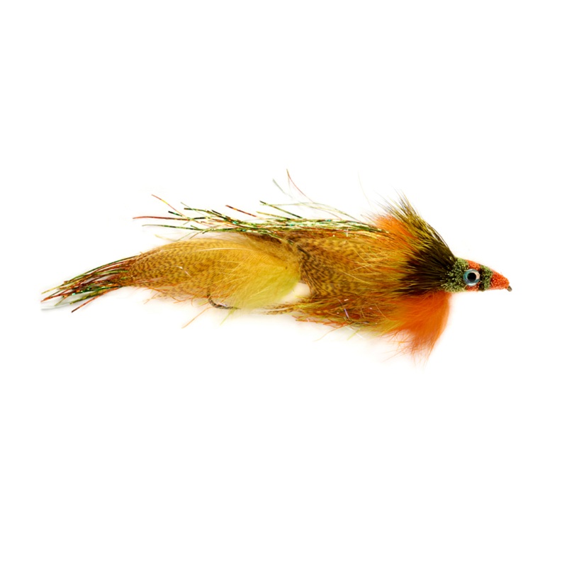 Mini Drunk & Disorderly Firetiger Size 4