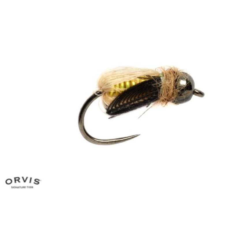 Tom Rosenbauer’s Deep Caddis Pupa