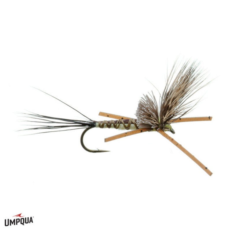 Brown Drake Nealley|10