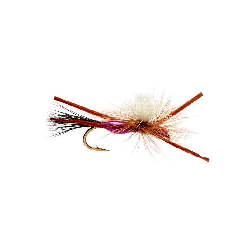 Burkus’ Madison River Closer – Purple