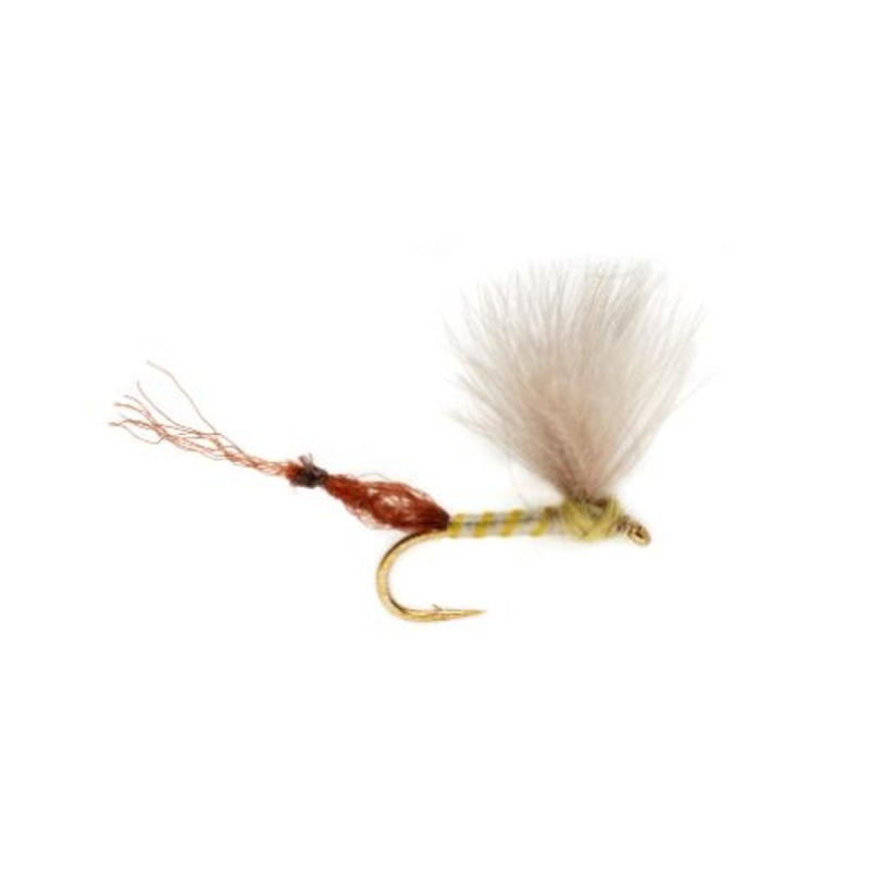 Burkus’ Riffle Robber – Pale Olive