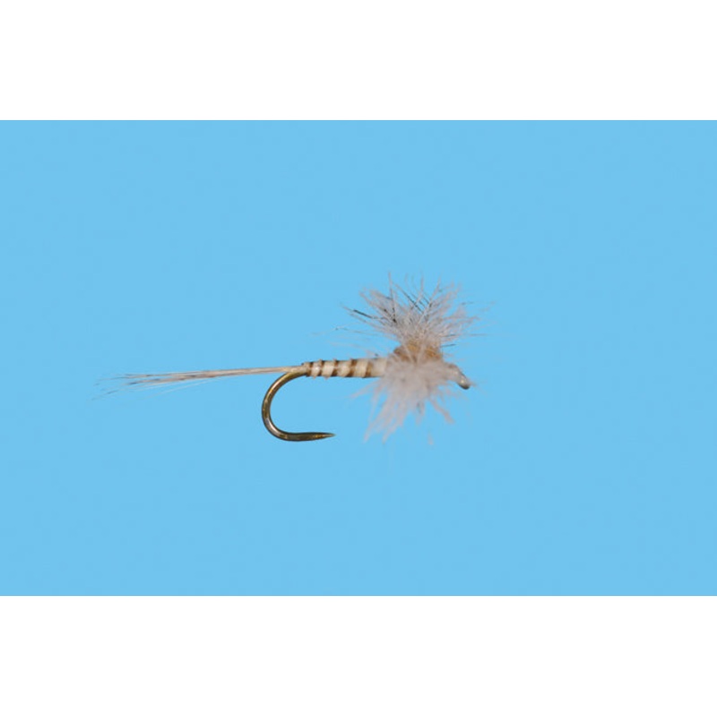 CDC Biot Callibaetis Spinner|14|16