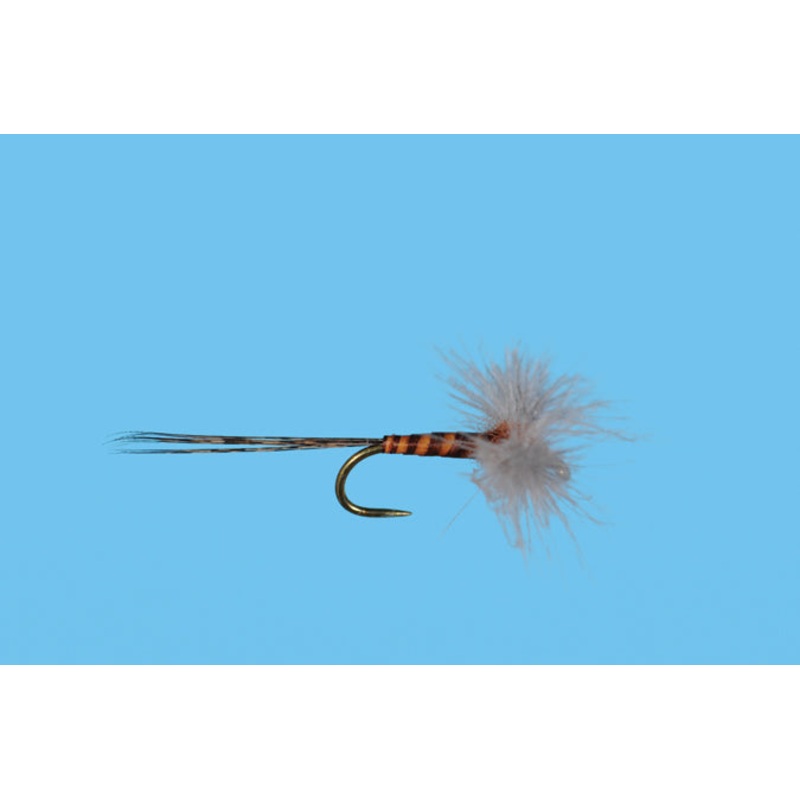 CDC Biot Rusty Spinner|14|16|18|20|22