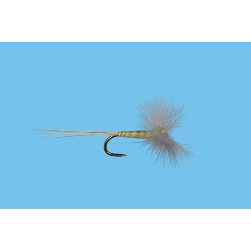 CDC Biot Spinner – PMD|14|16|18