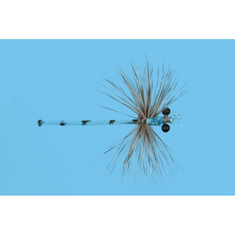 Damsel – Blue Adult|10|12