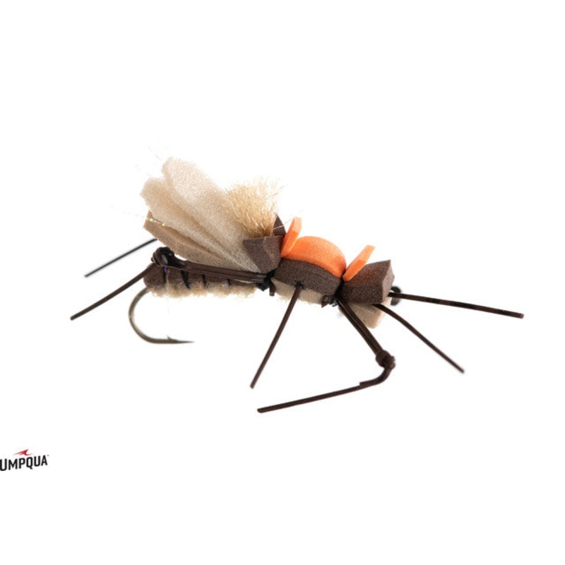 Dancin’ Ricky – Brown & Tan|10|14