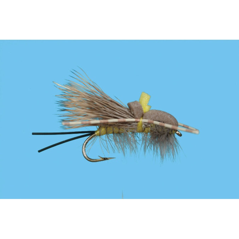 Golden Stone – Rolling Stone|8|10|12