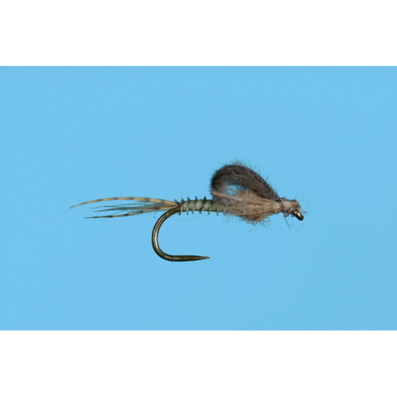 Harrop’s Captive Dun – Callibaetis