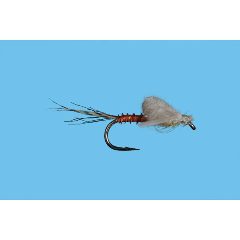 Harrop’s Captive Dun – PMD|16|18|20