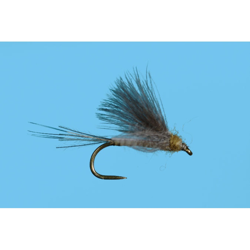 Harrop’s CDC Biot Dun – Flavilinea