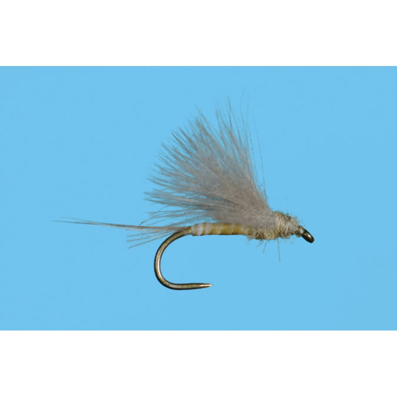 Harrop’s CDC Biot Dun – PMD|14|16|18|20