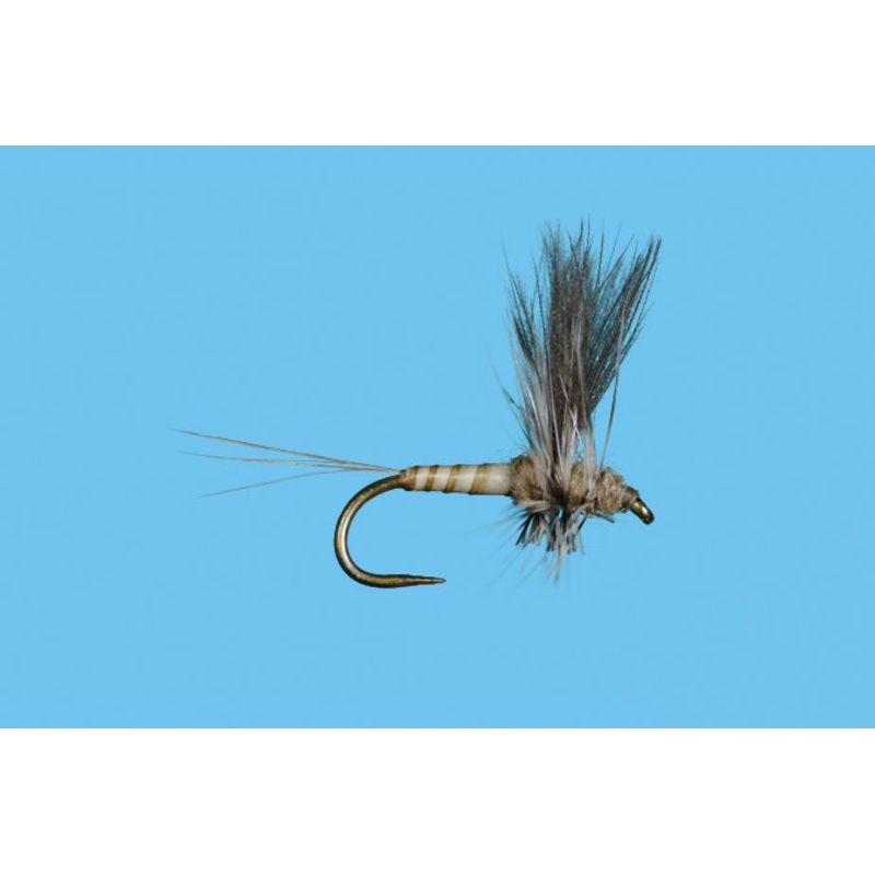 Harrop’s CDC Thorax – Callibaetis