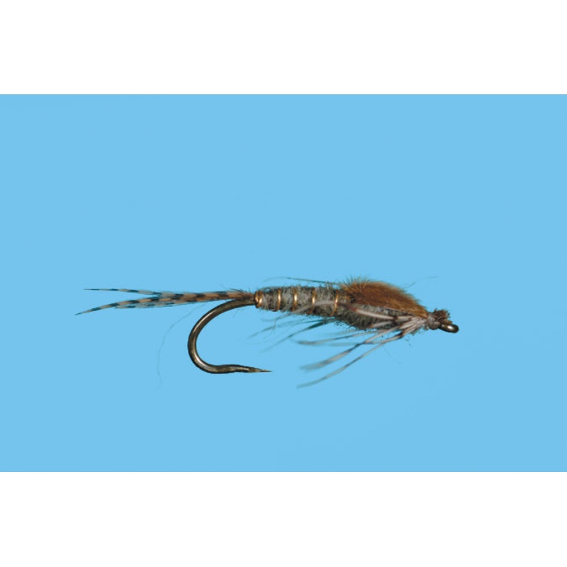 Harrop’s Mayfly Nymph – Callibaetis