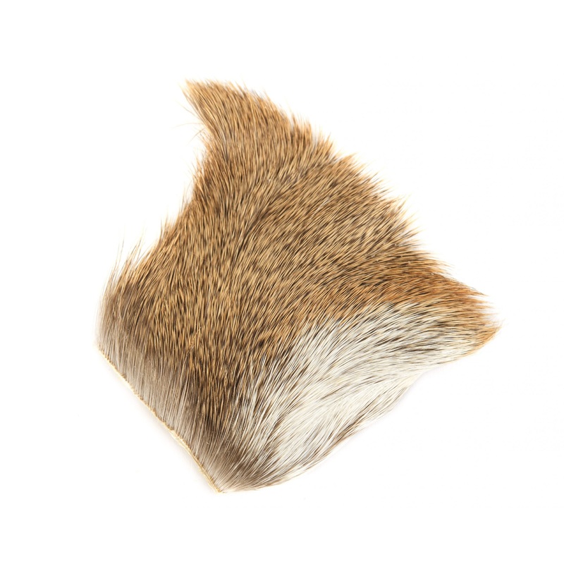 Nature’s Spirit Deer Hock|Bleached|Natural