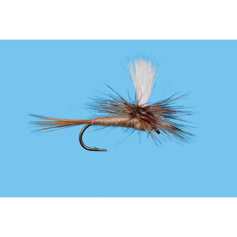 Parachute – March Brown|12|14|16