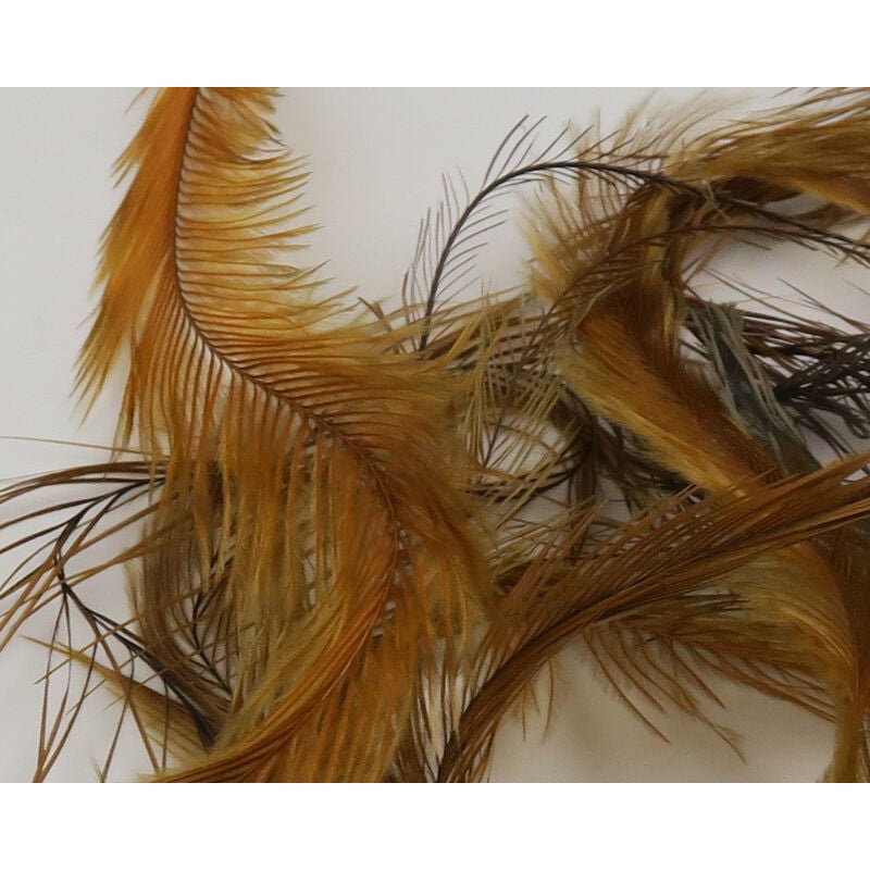 Emu Feathers|Gold