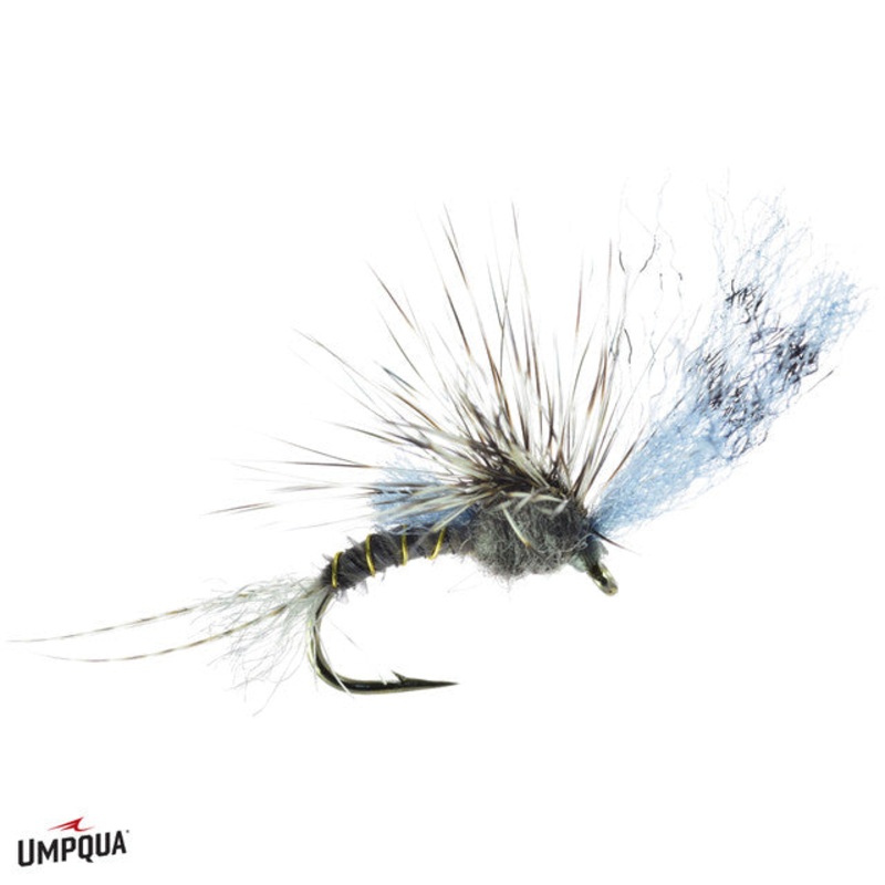 Film Critic Quigley – Callibaetis