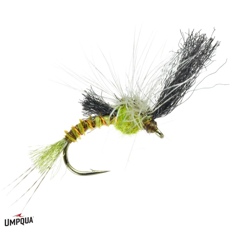 Film Critic Quigley – Flav|14