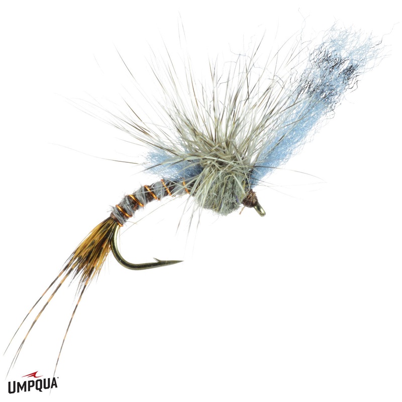 Film Critic Quigley – Gray Drake