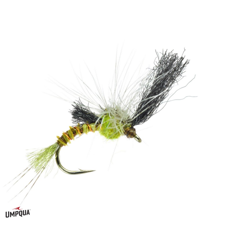 Film Critic Quigley – Green Drake