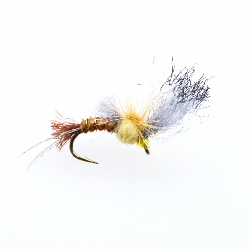 Film Critic Quigley – PMD|16|18