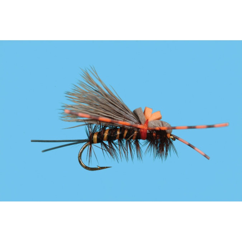 Salmon Fly – Rolling Stone|4|6