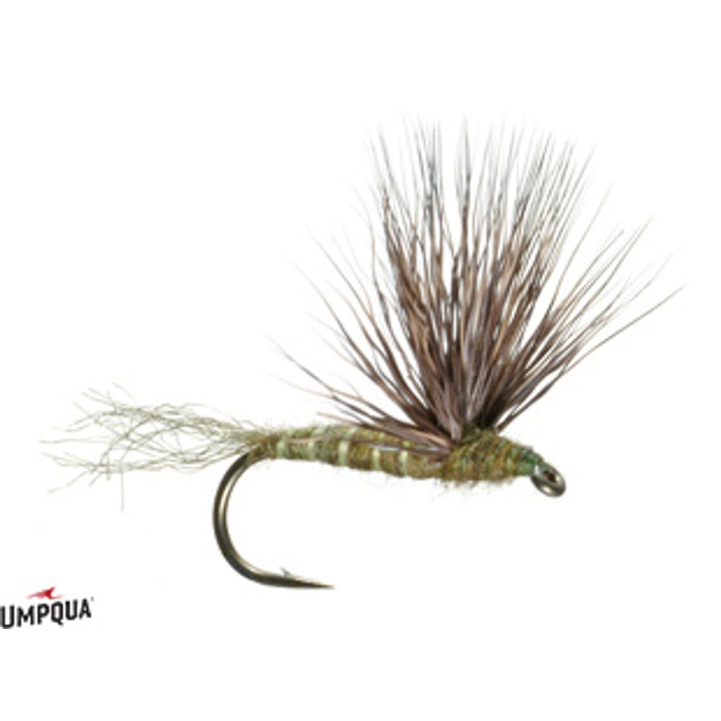 Sparkle Dun – Green Drake|12