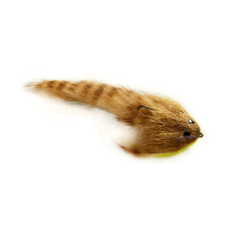 Low-Fat Sculpin – Ginger|2