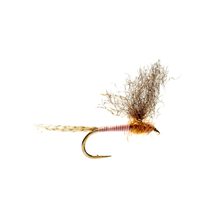 Burkus Pink MD|14|16|18