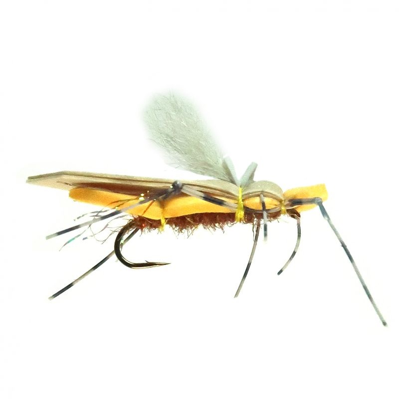 Dornan’s Water Walker – Peanut