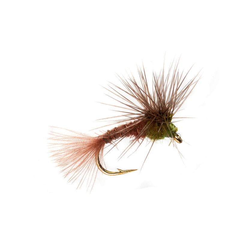 Keegan’s Stacked BWO-MY|16|18|20