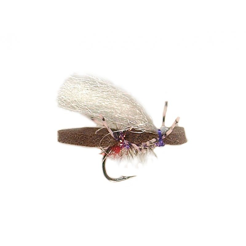 Micro Purple Bruce|14|16