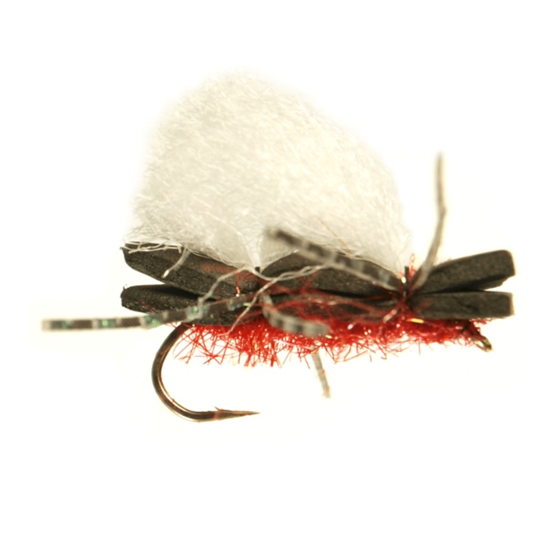Willie’s Ant – Fire Red|6|8|10|12|14|16