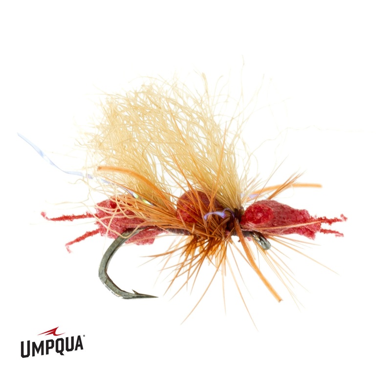 Chubby Cubby – Red|16