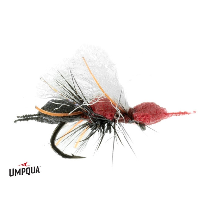 Chubby Cubby – Red/Black Butt|16