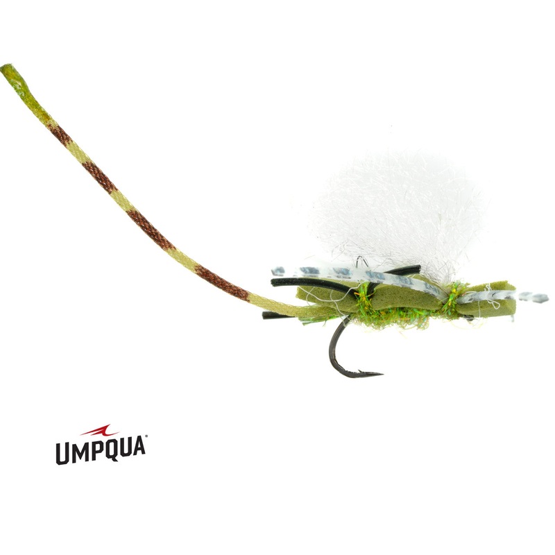 Chubby Damsel – Olive|14|16