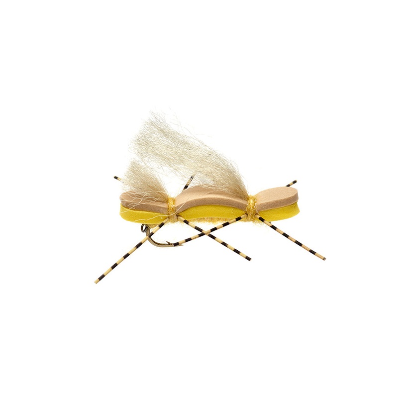 Chubby Duo – Golden|6|8