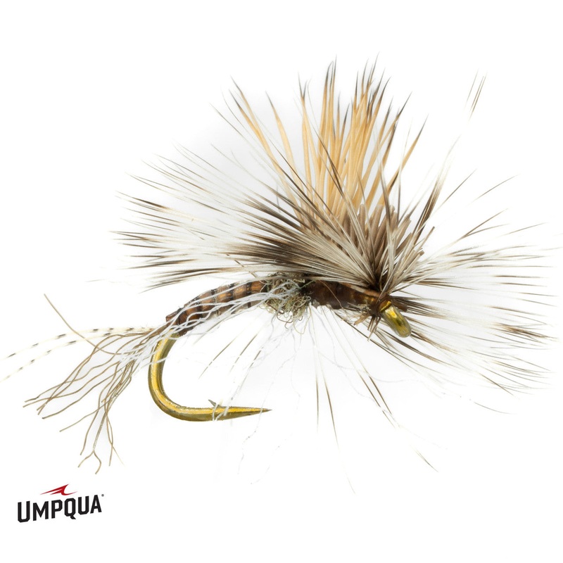 Stealth Link Mercer – Callibaetis