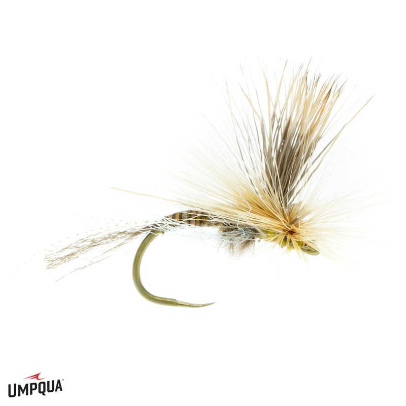 Stealth Link Mercer – Hexagenia